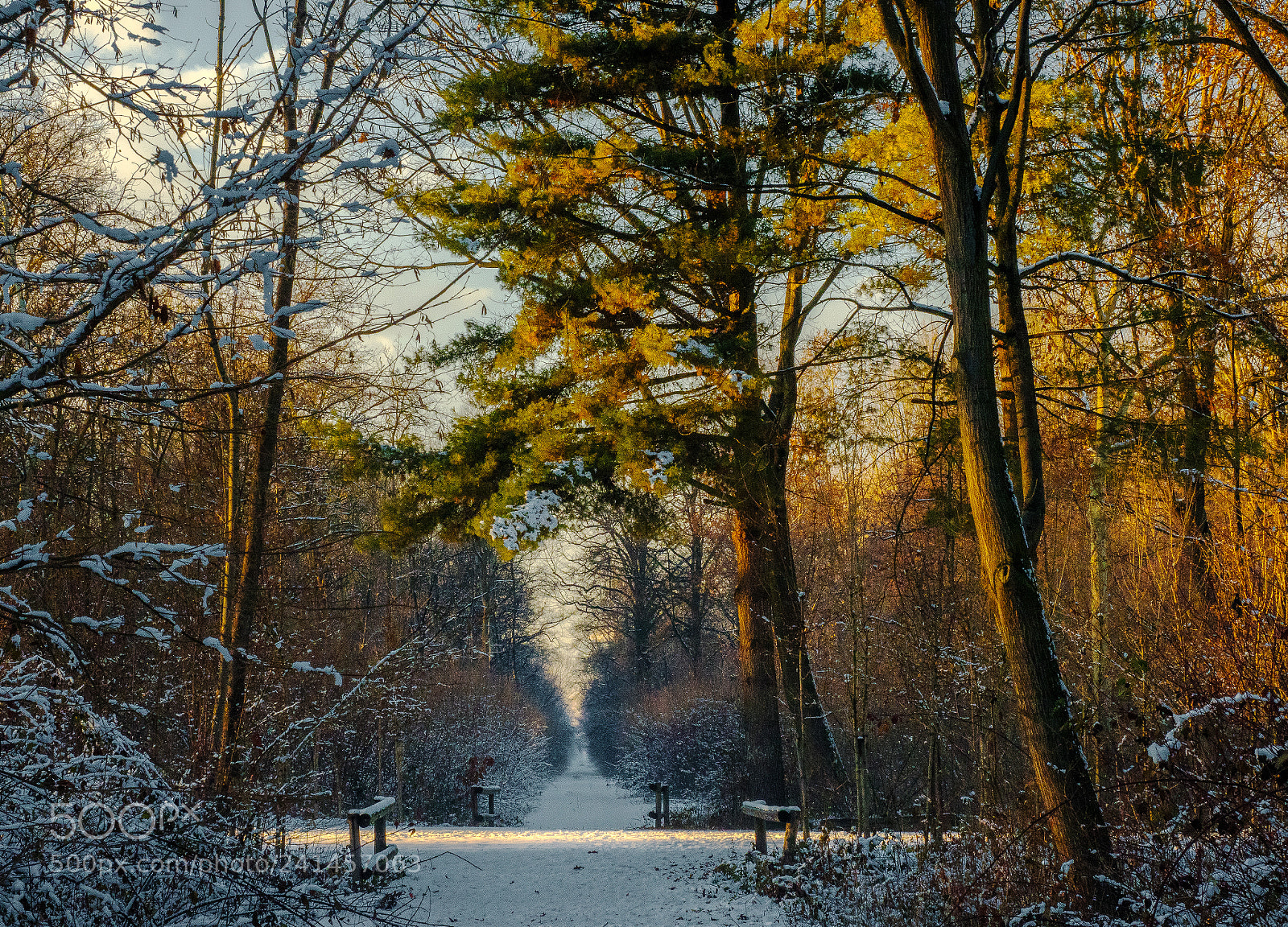 Olympus OM-D E-M1 Mark II sample photo. Left light photography