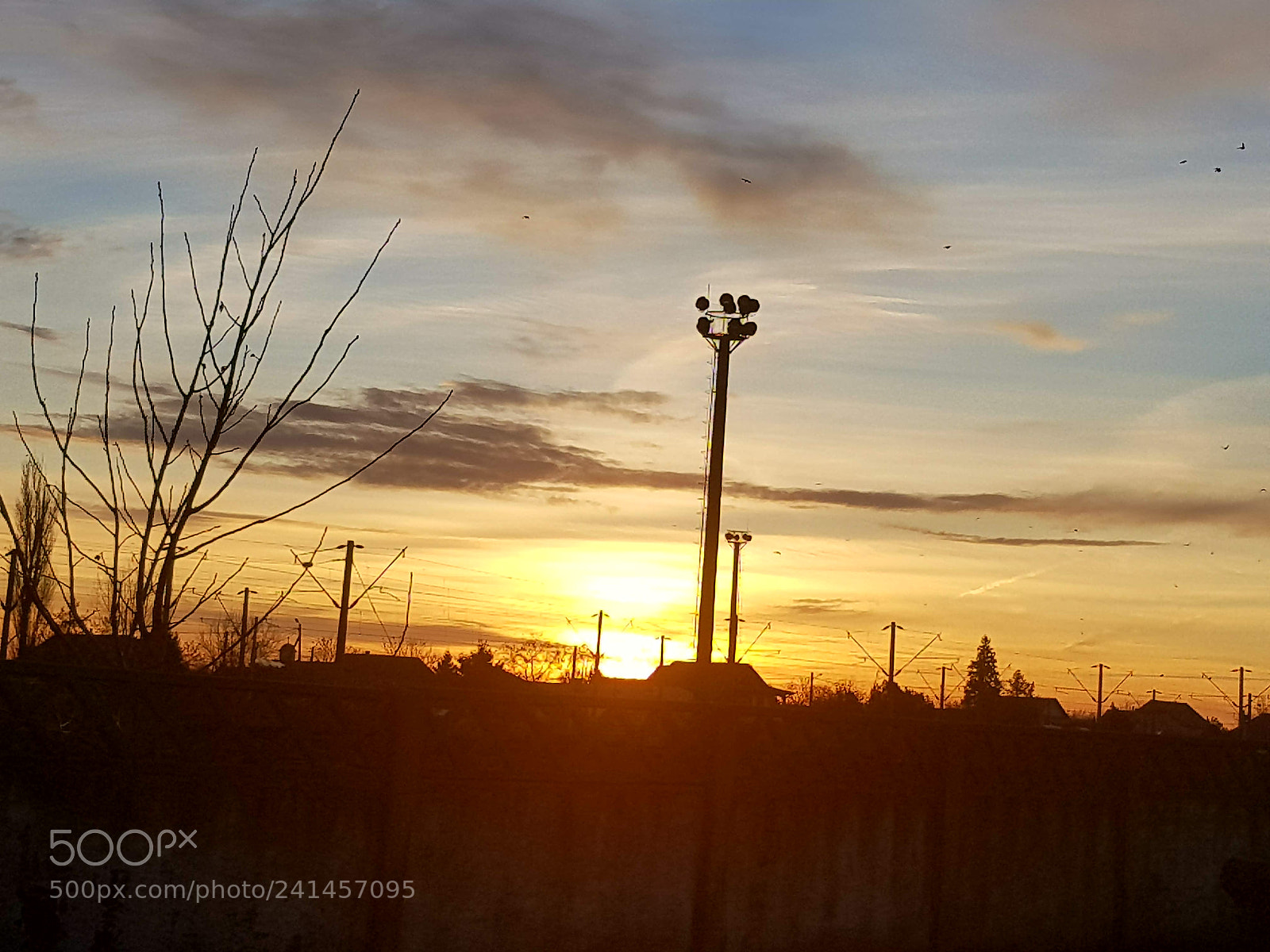 Samsung Galaxy S8+ sample photo. Untitled photography