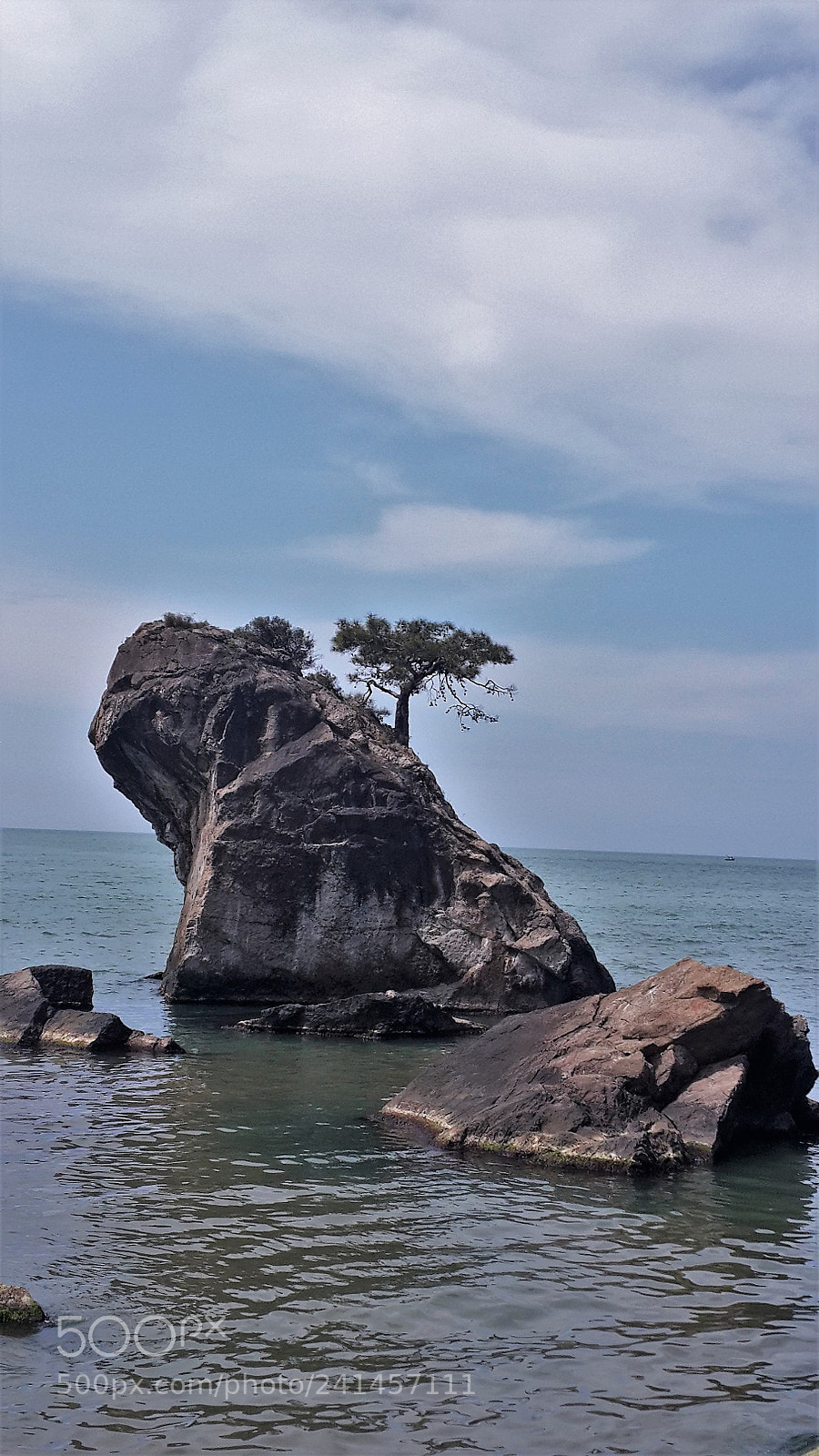 Samsung Galaxy S4 sample photo. Nature always finds a photography