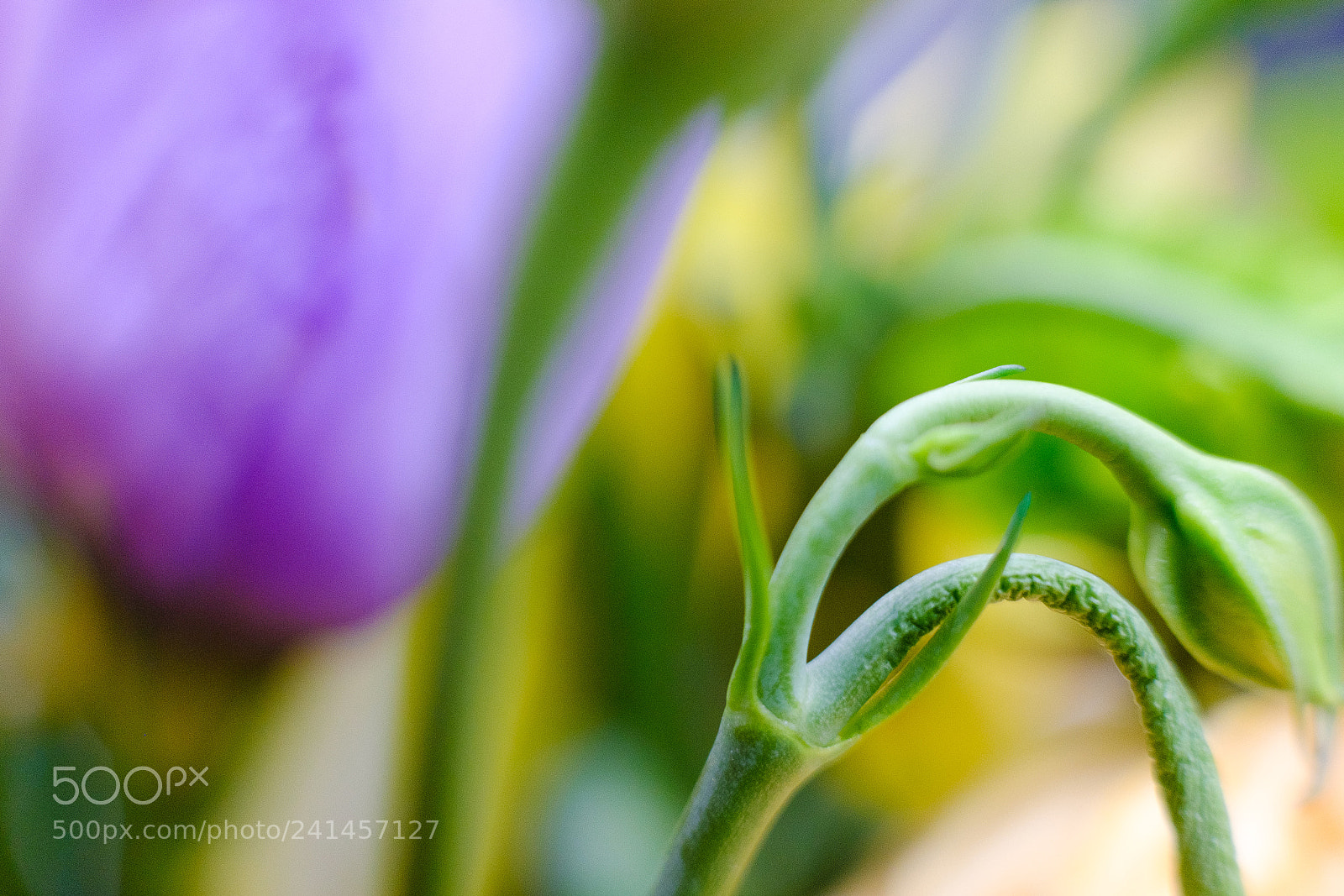 Fujifilm X-T20 sample photo. Abstract photography