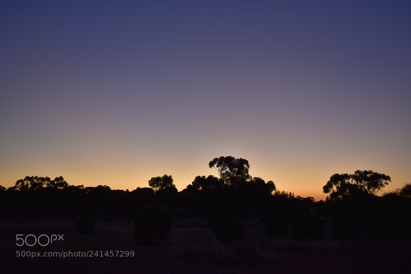 Nikon D5600 sample photo. Dawn photography