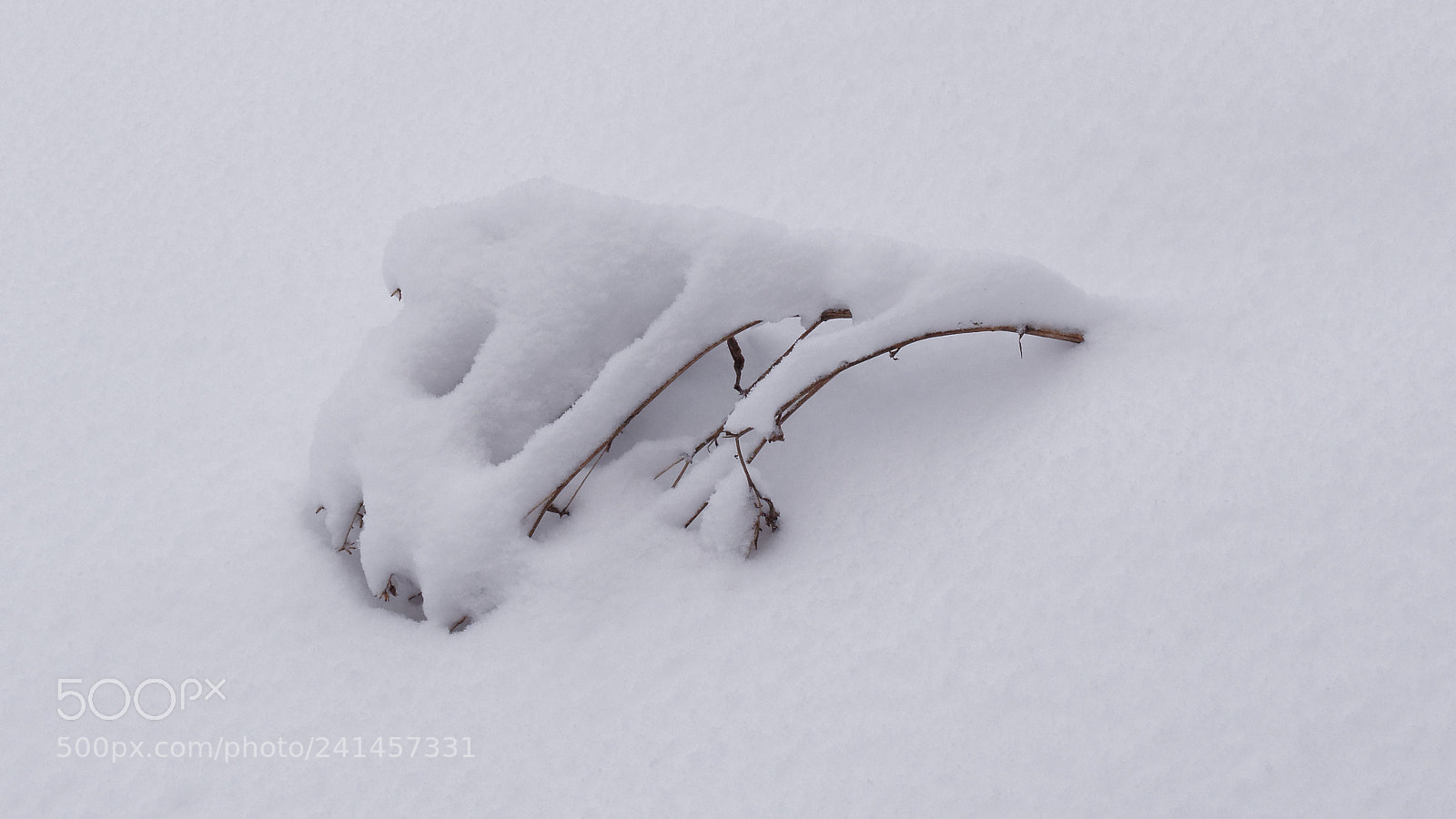 Panasonic Lumix DMC-GX85 (Lumix DMC-GX80 / Lumix DMC-GX7 Mark II) sample photo. Winter 3 photography