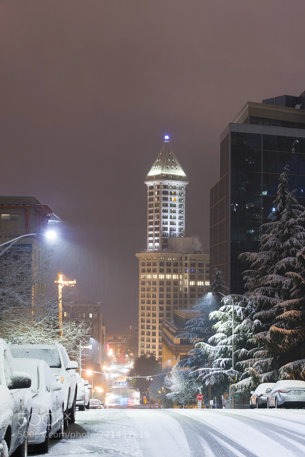 Nikon D800 sample photo. Smith tower in the photography