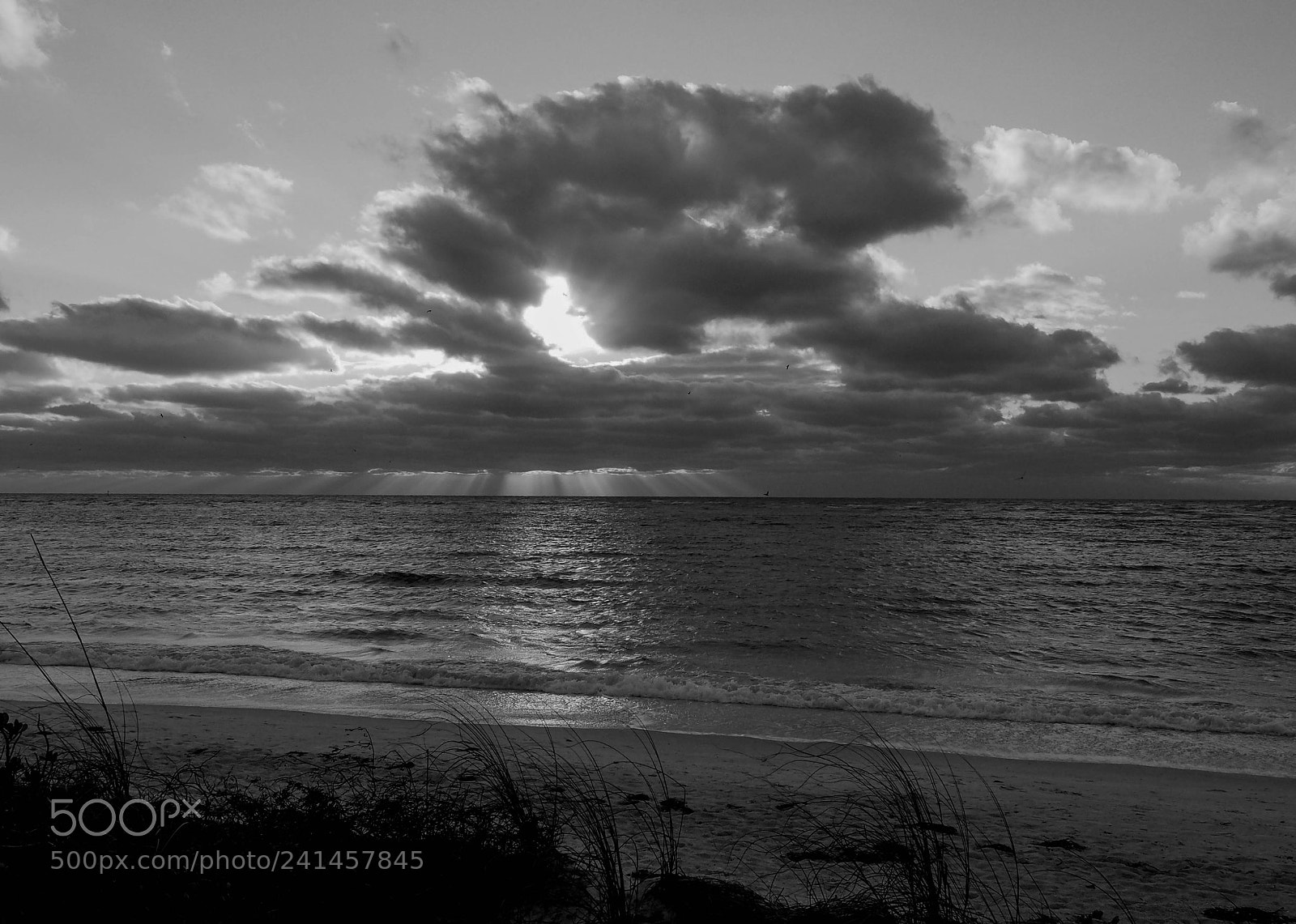 Olympus PEN-F sample photo. Florida....it's too cold for photography