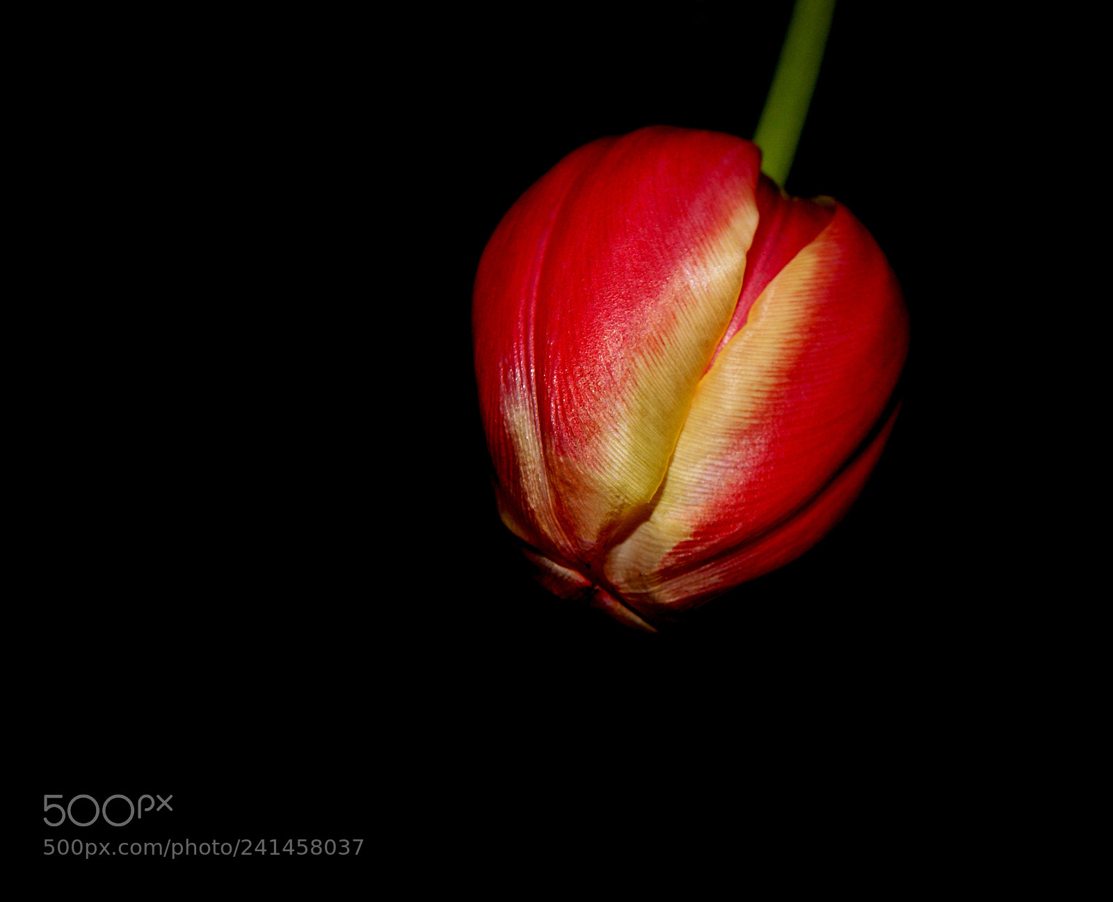 Sony Alpha DSLR-A230 sample photo. Out of darkness photography