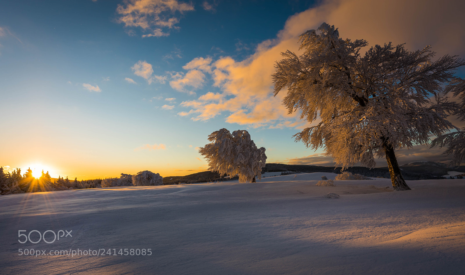 Nikon D810 sample photo. Weterbruchen photography