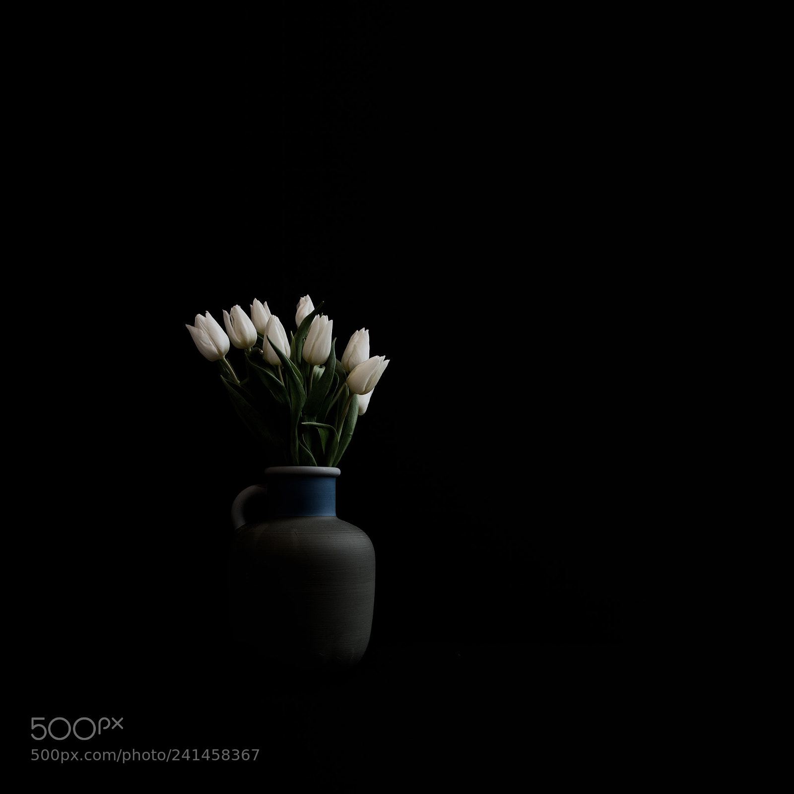 Pentax K-3 sample photo. White tulips photography