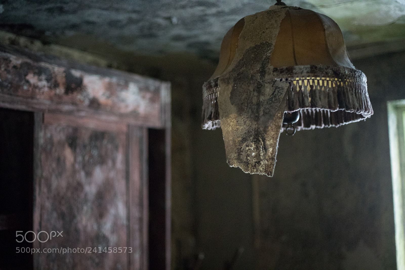 Canon EOS 6D Mark II sample photo. Verfall photography