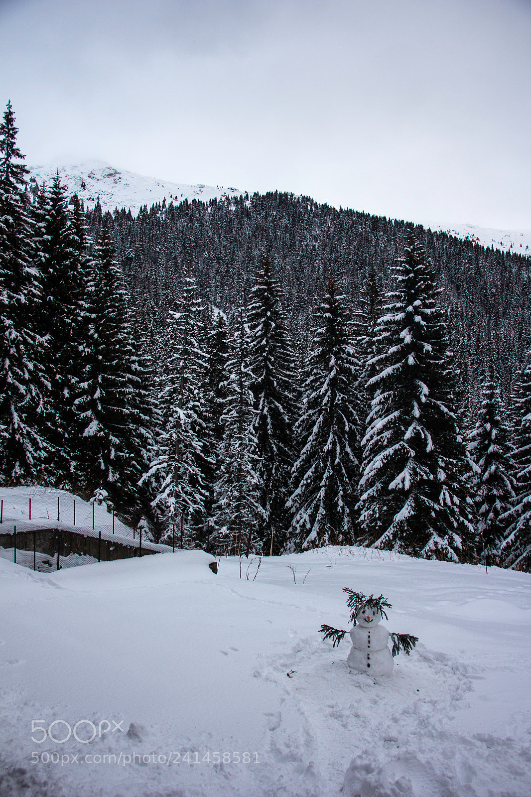 Canon EOS 60D sample photo. Mr. snowman photography
