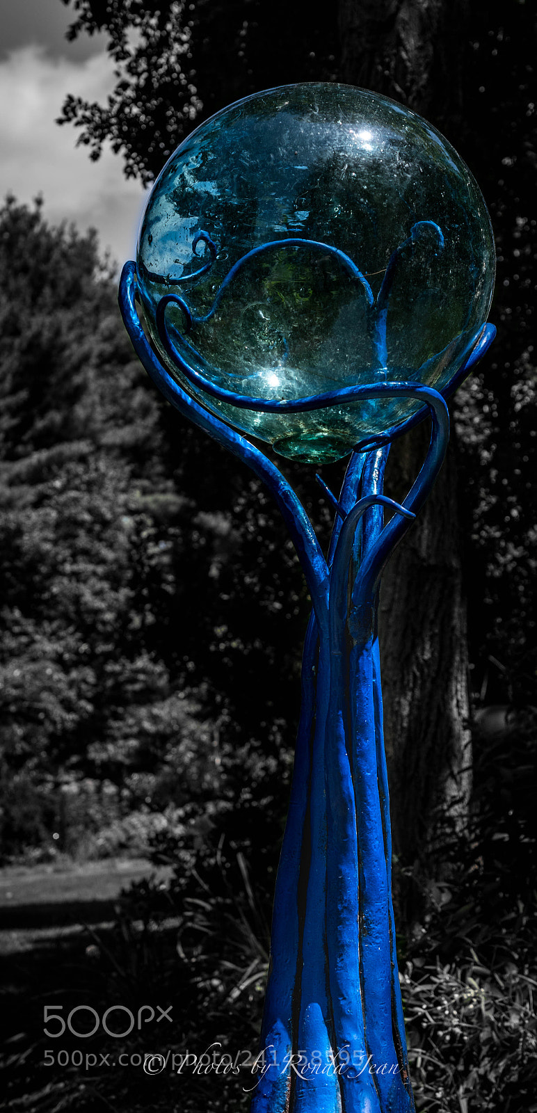 Nikon D500 sample photo. Untitled photography