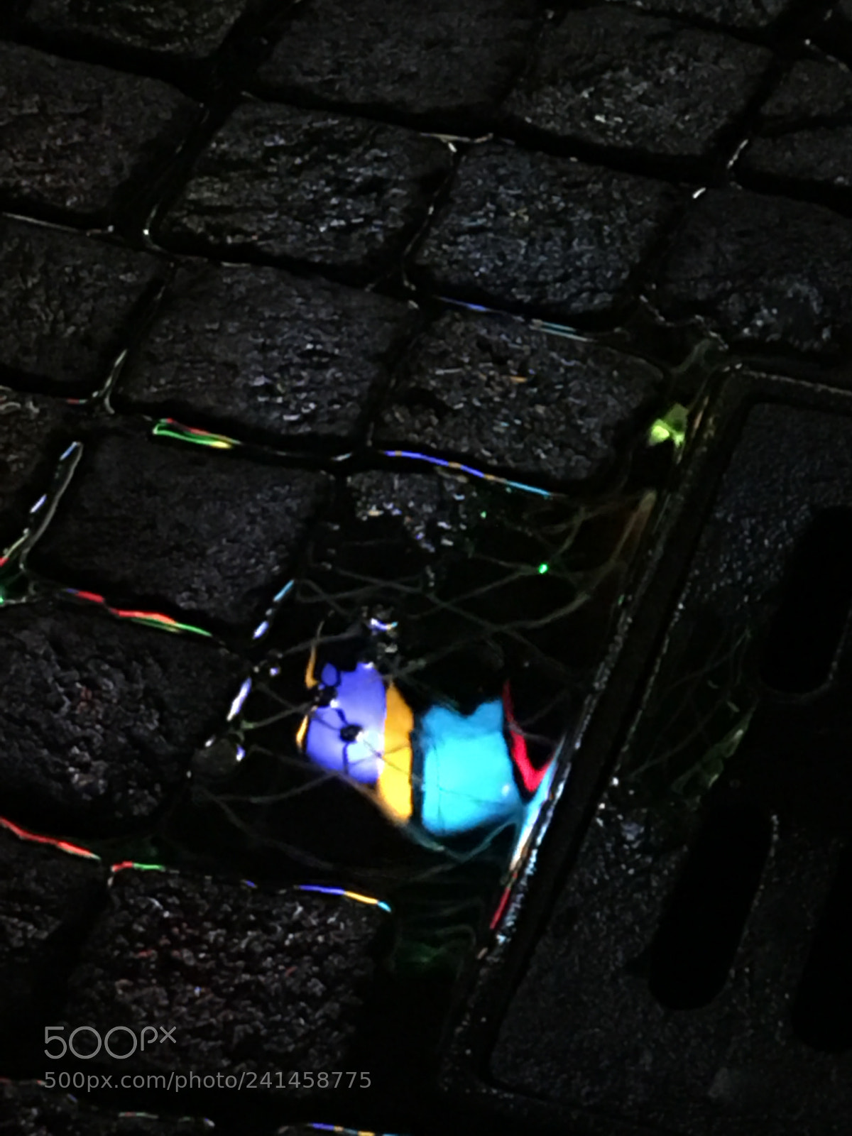 Apple iPhone 6s sample photo. Light photography