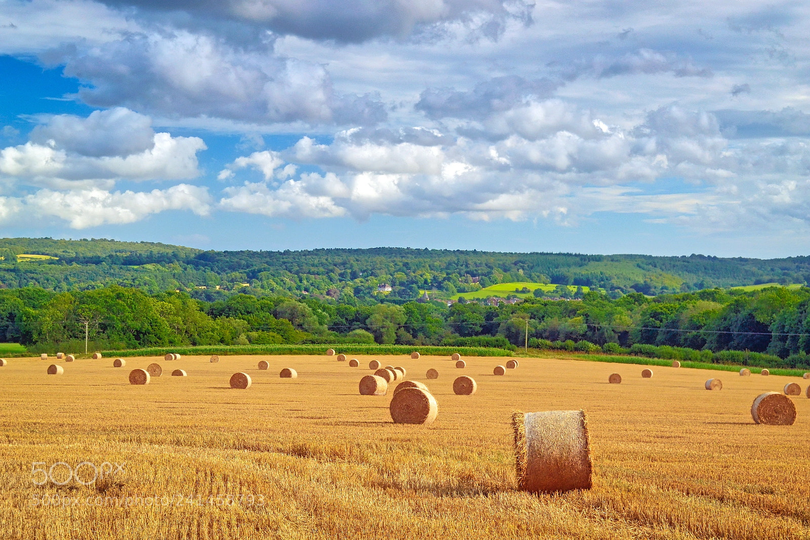 Nikon D3100 sample photo. Hdr betsons farm photography