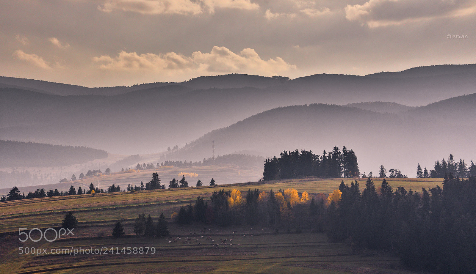 Nikon D7200 sample photo. Misty mountains photography