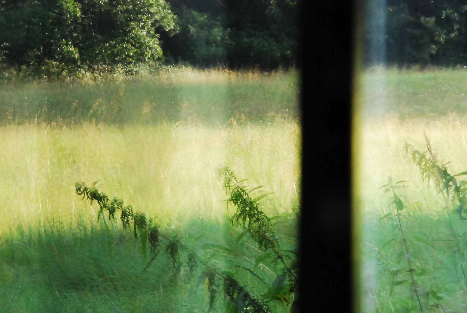 Nikon D80 sample photo. Outside reflexion photography