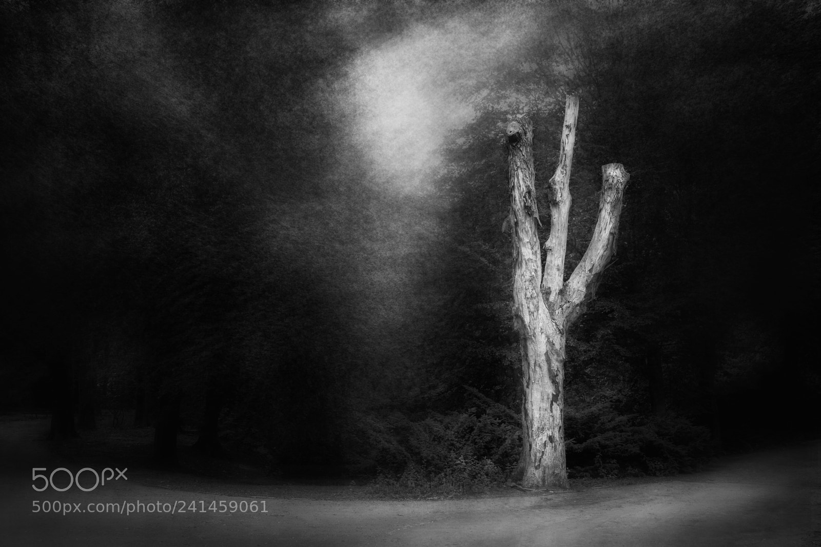 Fujifilm X-T20 sample photo. Solitude photography