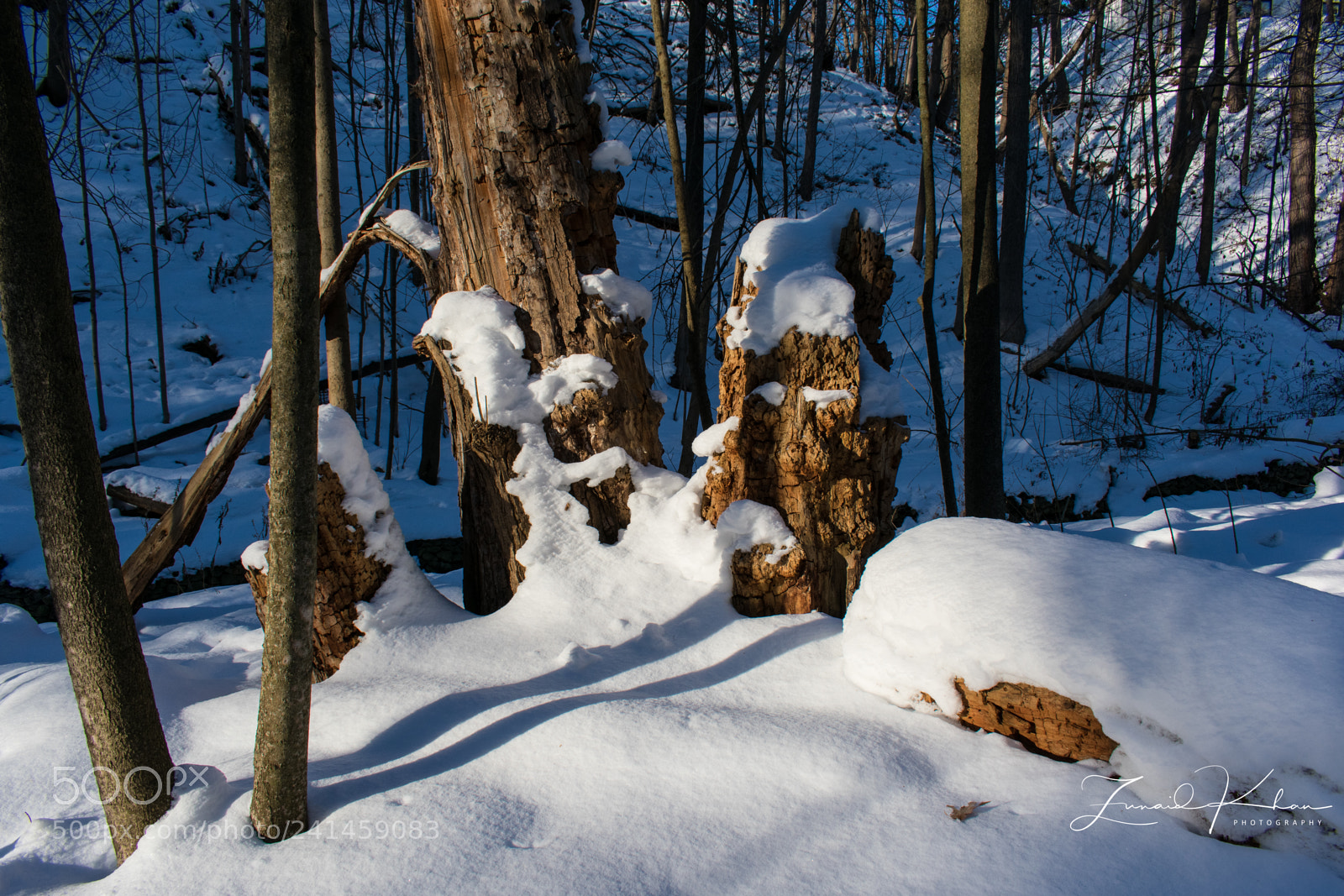 Nikon D3400 sample photo. Shadows on the snow photography