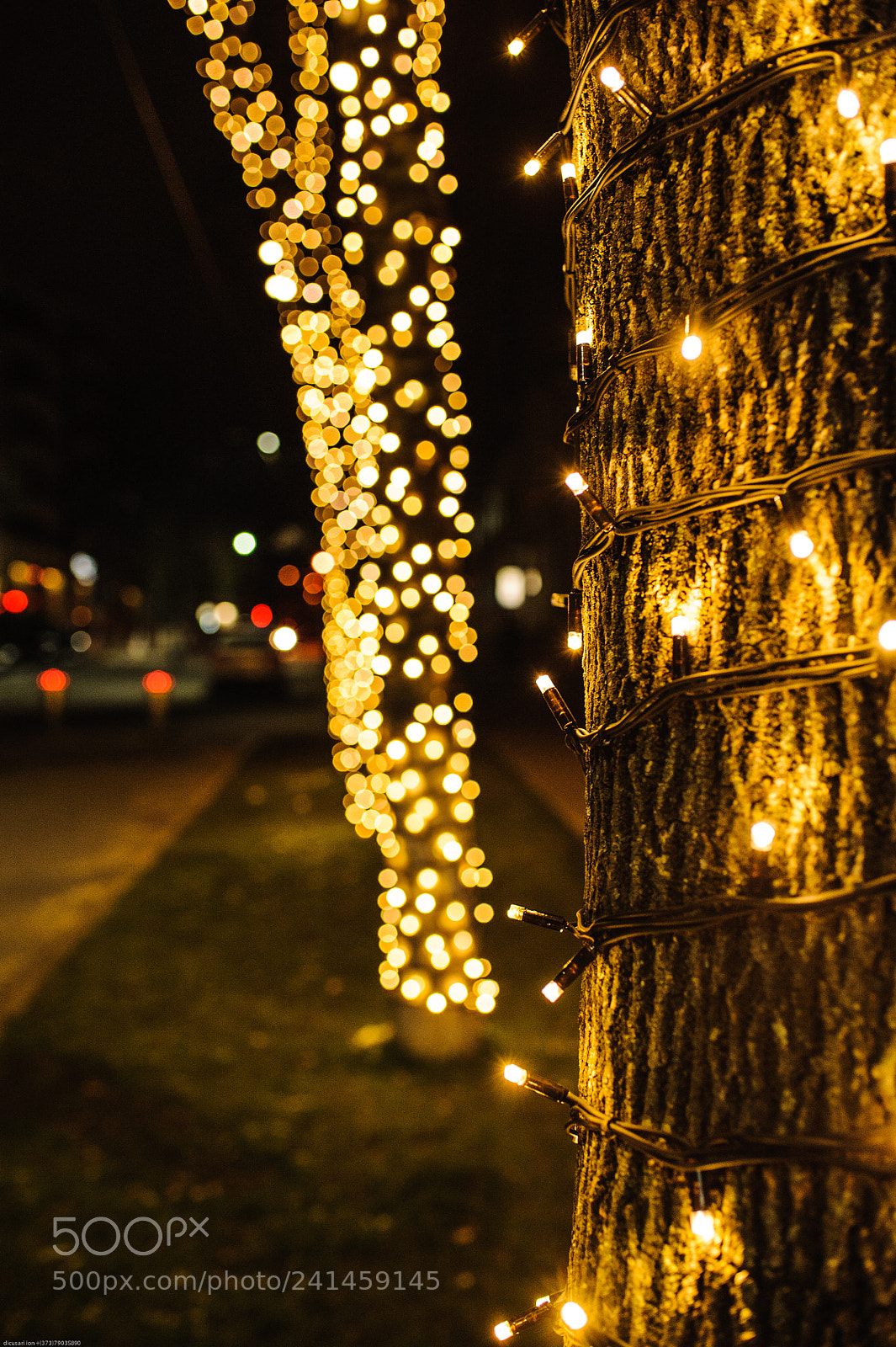 Nikon D700 sample photo. New year 2018 photography