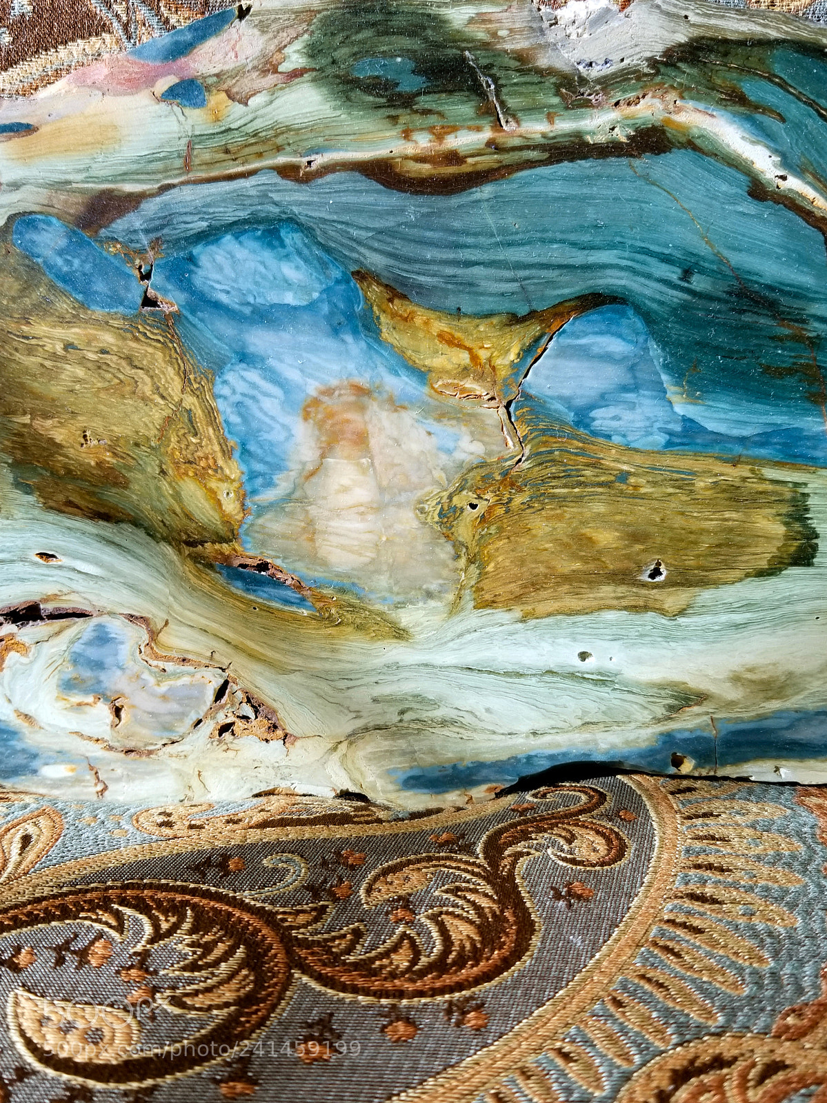 Samsung Galaxy S8+ sample photo. Petrified wood photography