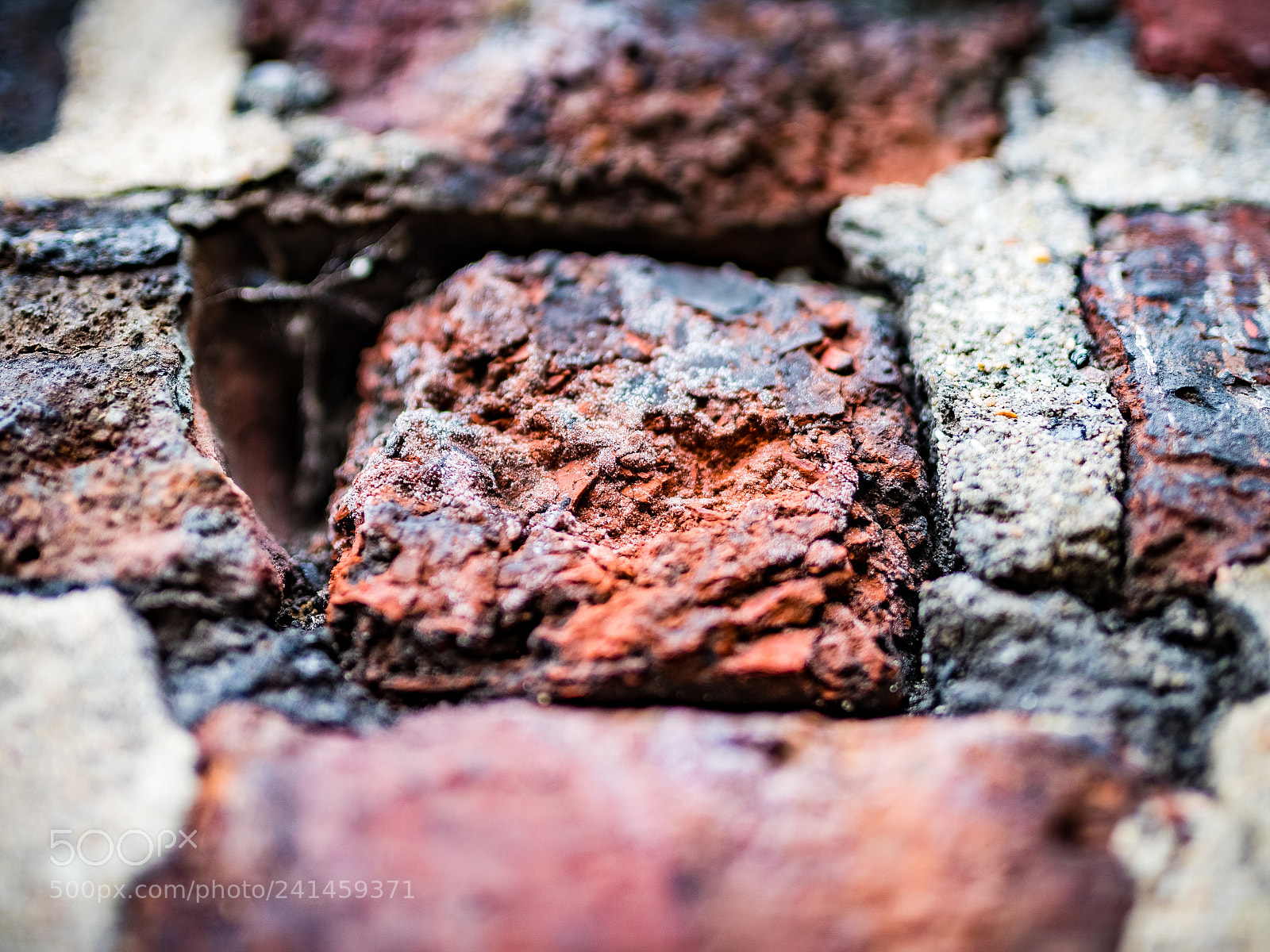 Nikon D810 sample photo. Ziegel photography