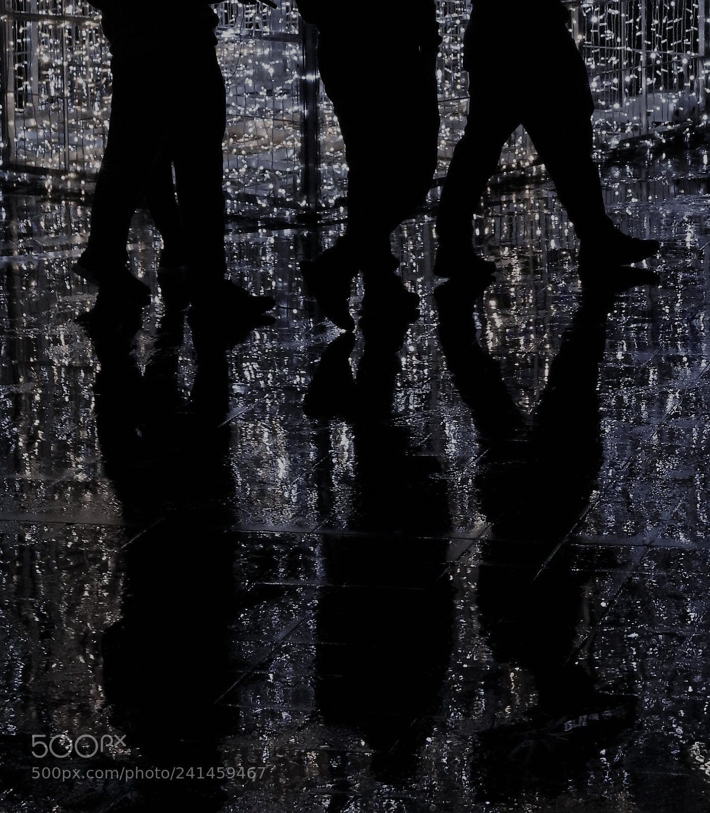 Canon EOS 5DS sample photo. Wet walk photography
