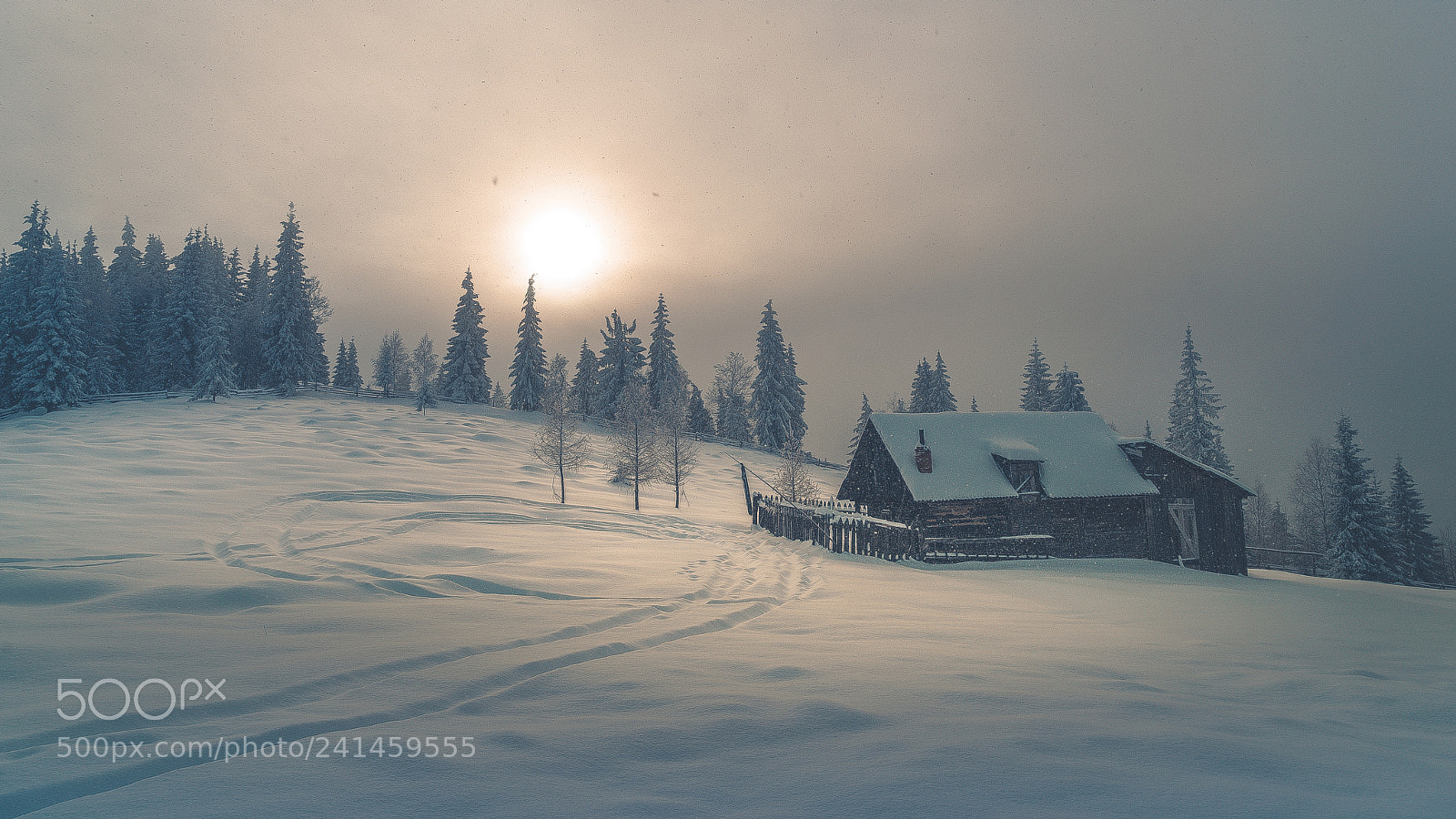 Sony a7 II sample photo. Bucovina wonderland photography