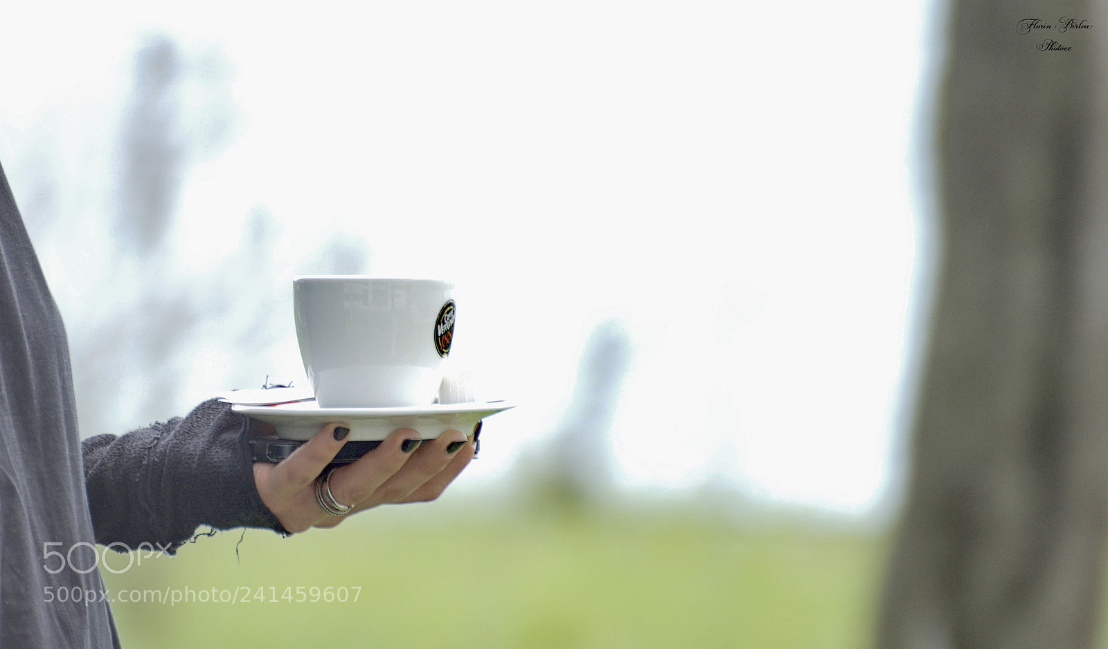 Nikon D800 sample photo. Flb photography