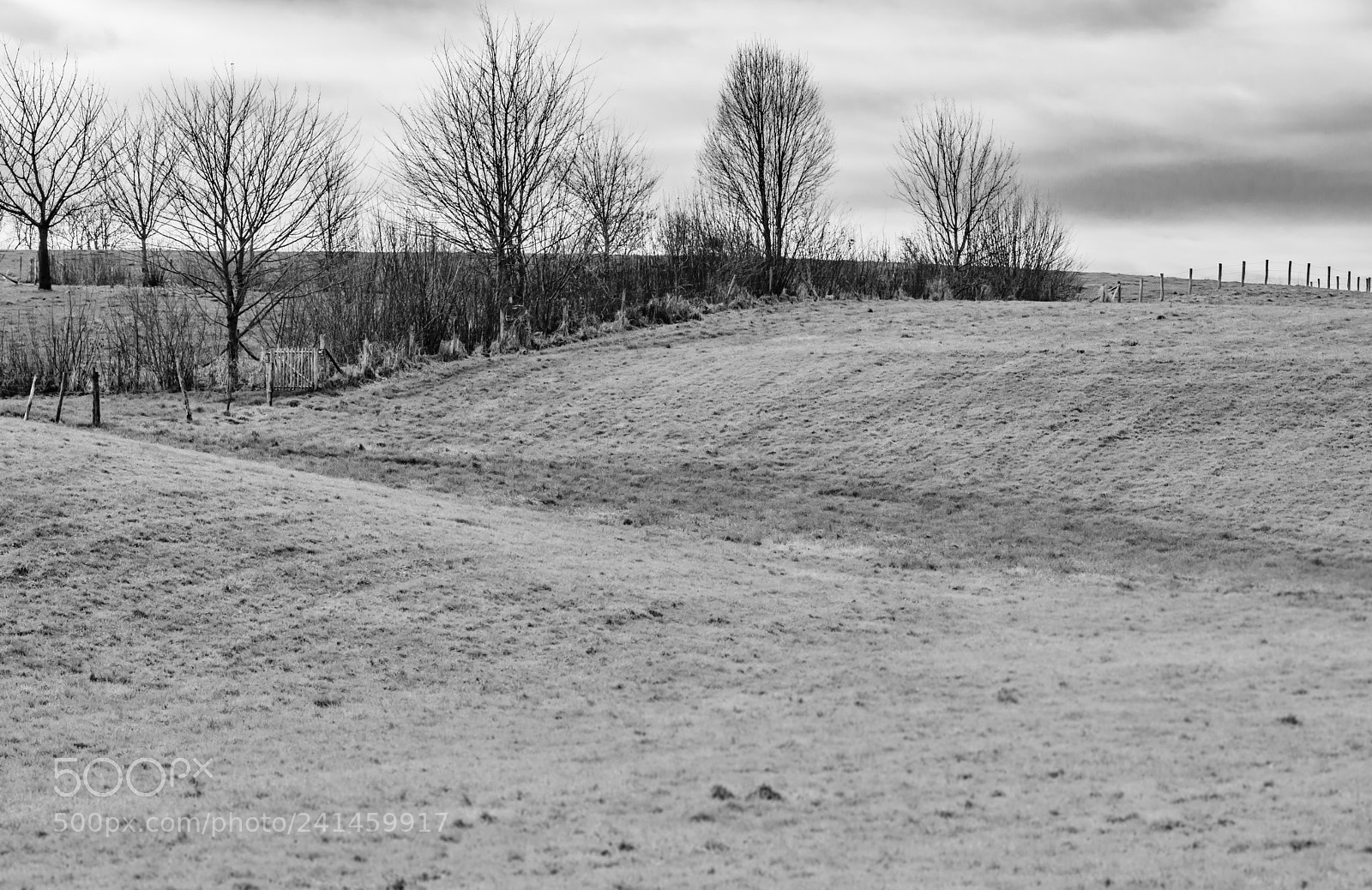 Nikon D7200 sample photo. Peacefull scene photography