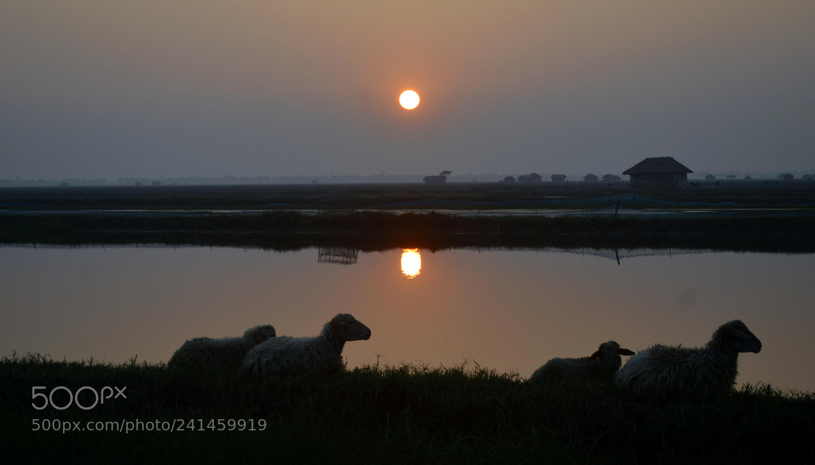 Nikon D3200 sample photo. সন্ধা photography