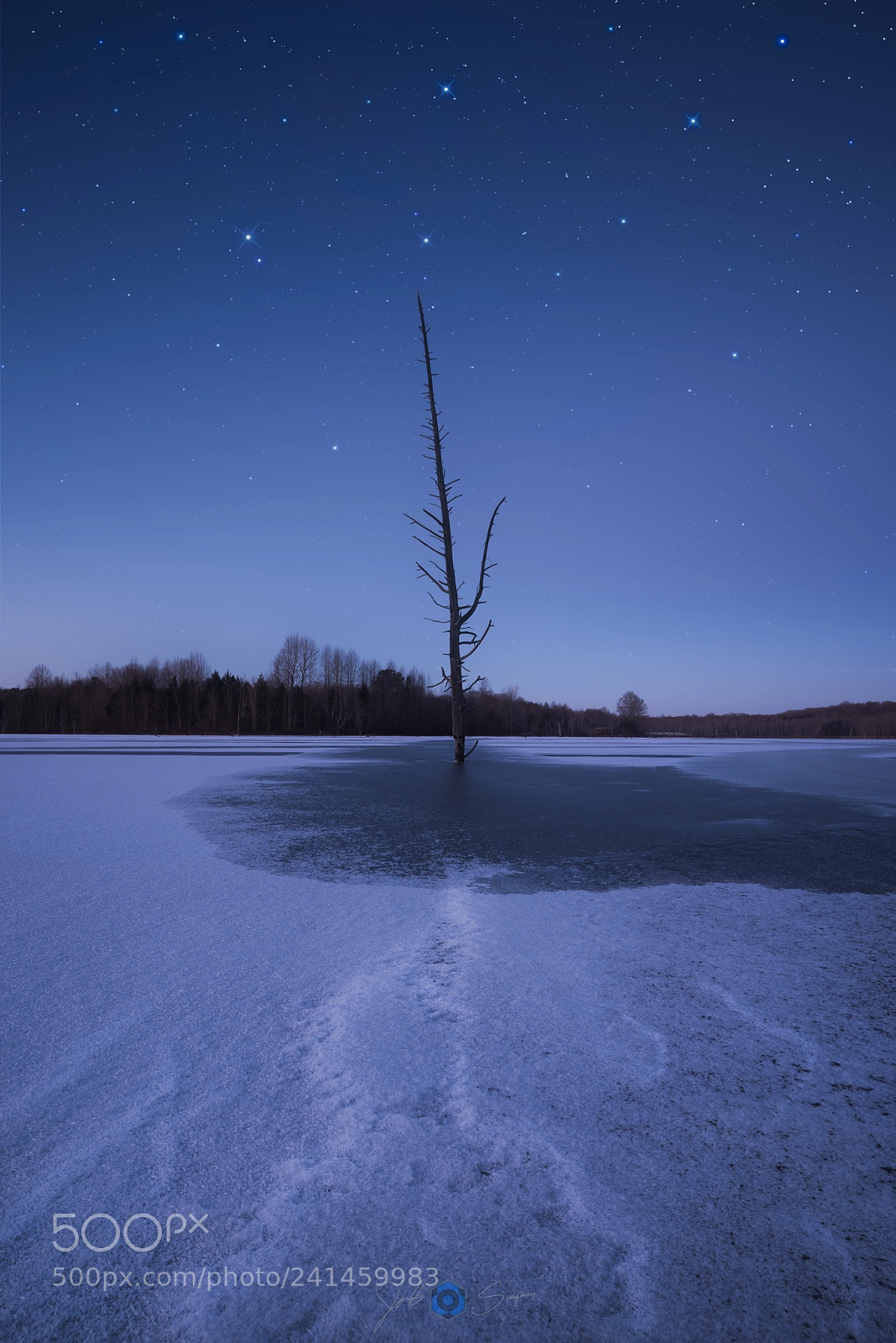 Nikon D810 sample photo. Hoth's twilight photography