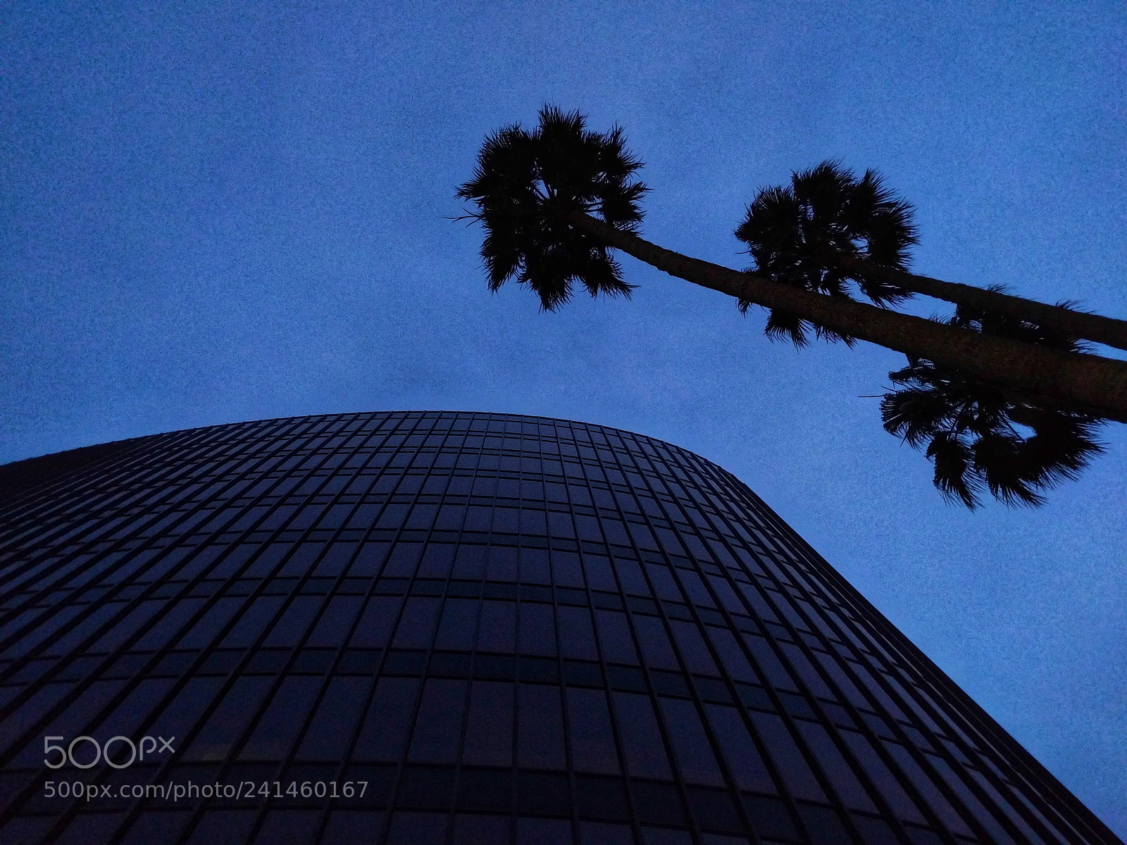 LG Nexus 5X sample photo. May 2016 last light photography