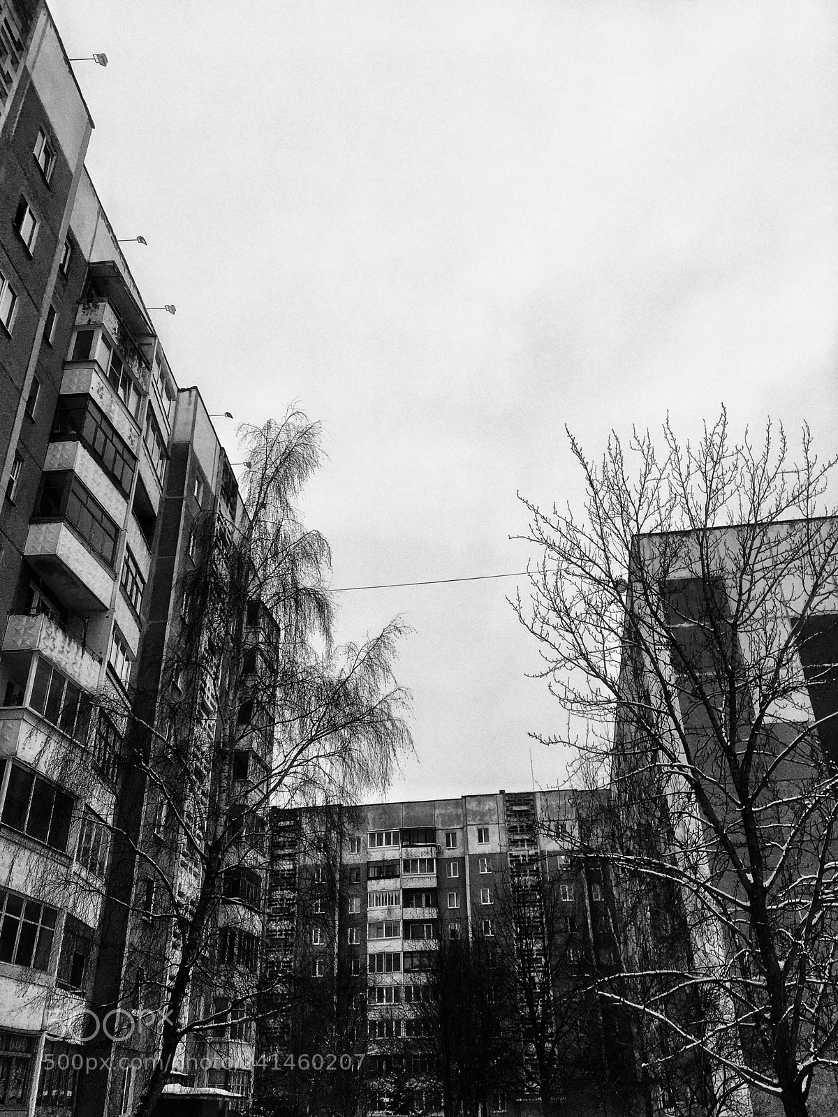 Apple iPhone 6s sample photo. Untitled photography