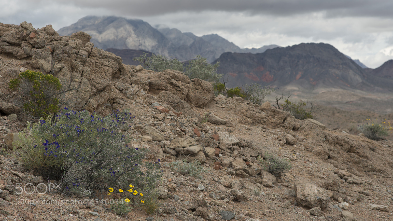 Nikon D800 sample photo. Spring storm photography