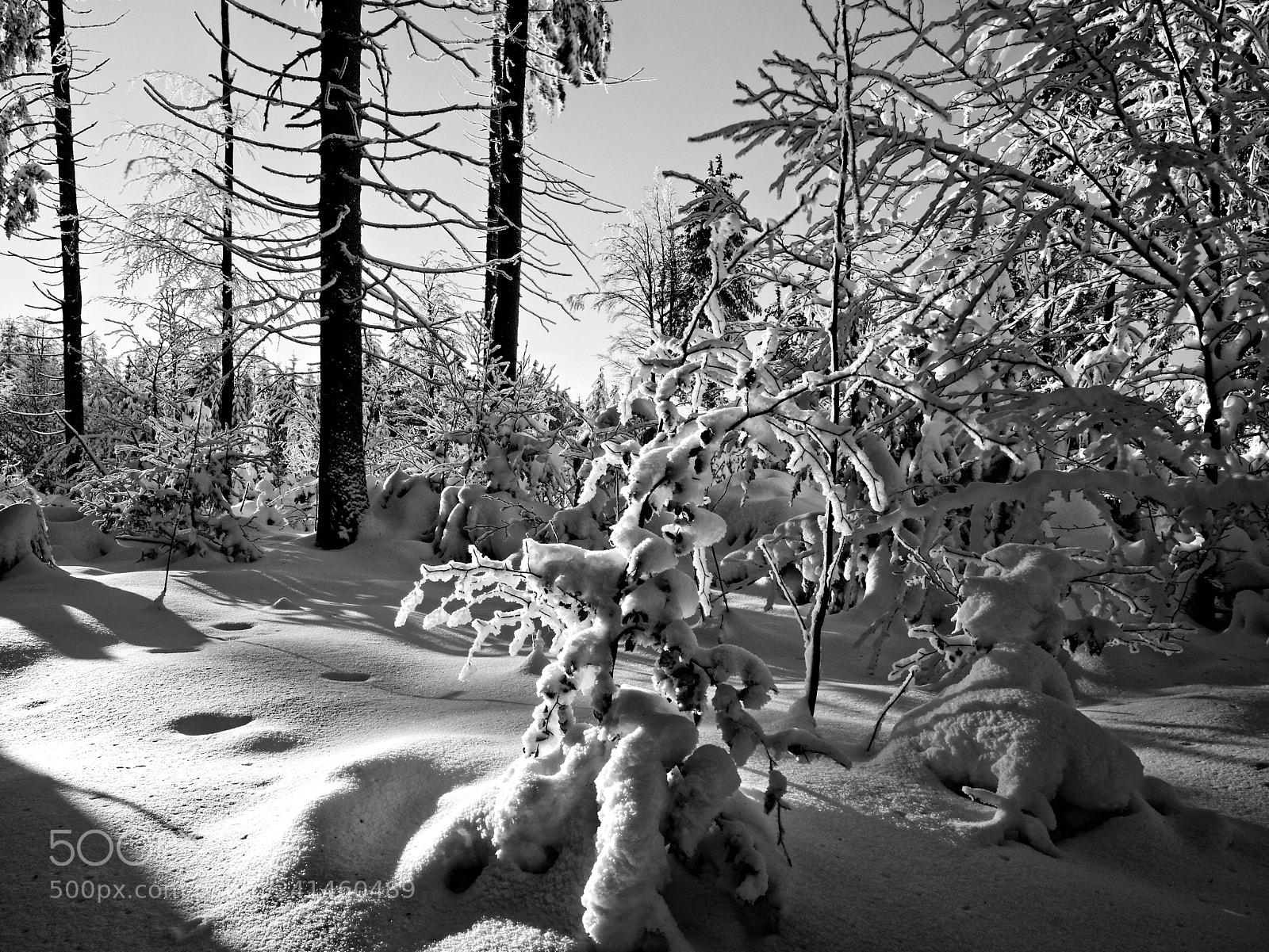 Olympus OM-D E-M1 sample photo. Wintertime - sunset photography