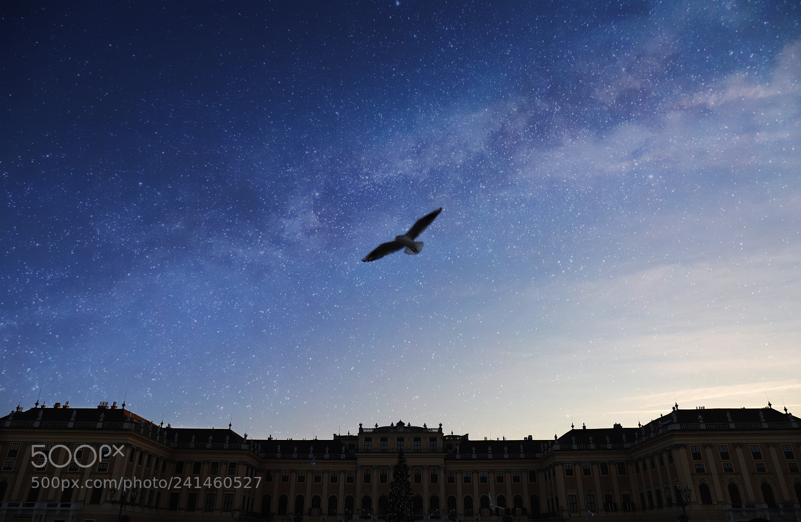 Canon EOS 6D Mark II sample photo. Milky vienna photography
