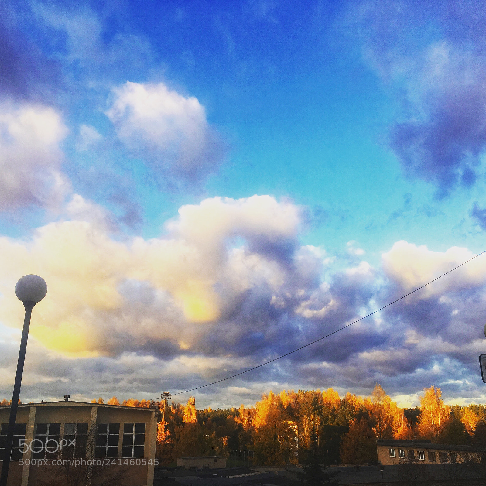 Apple iPhone 6s sample photo. Untitled photography