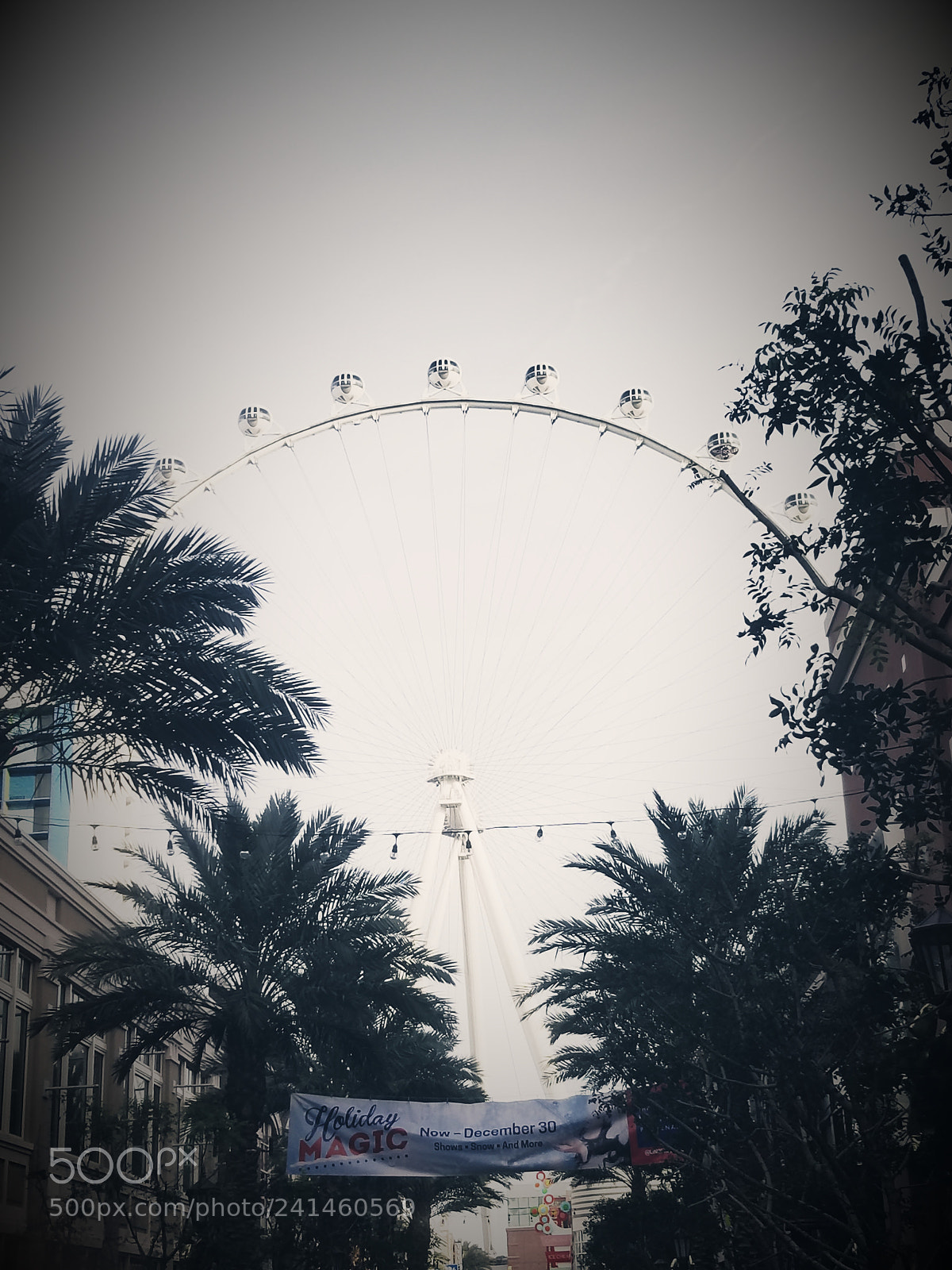 Samsung Galaxy S8 sample photo. 20171223_142607.jpg photography