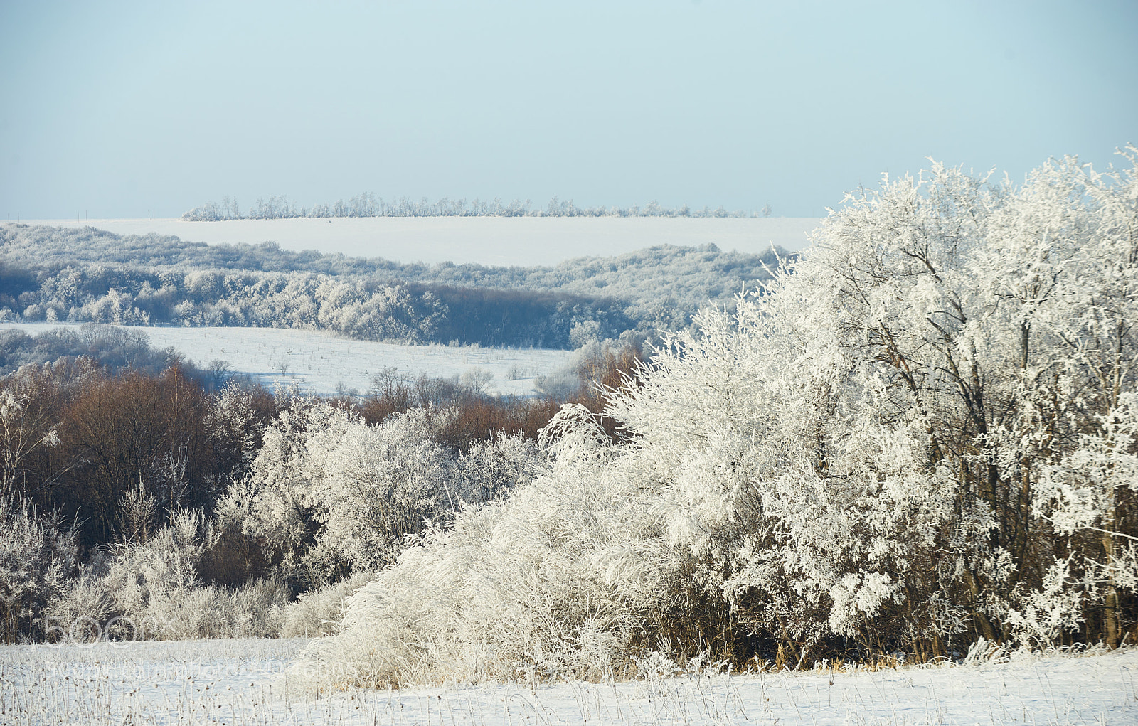 Sony a7 II sample photo. Зимняя сказка photography