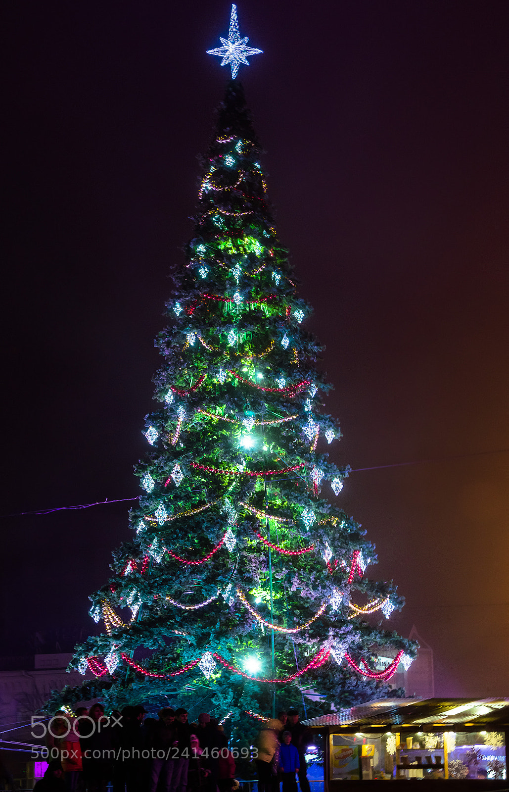 Nikon D3200 sample photo. Главная ёлка Симферополя photography