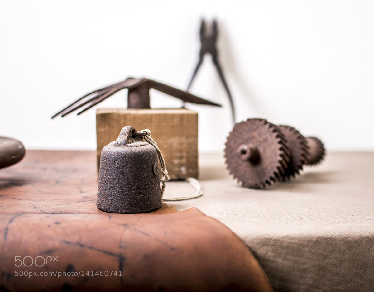 Nikon D7100 sample photo. 03.jpg photography
