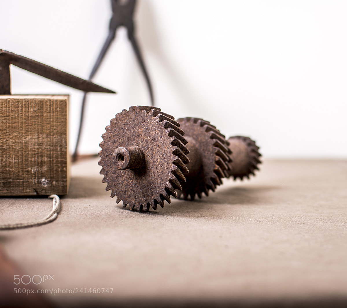 Nikon D7100 sample photo. 04.jpg photography