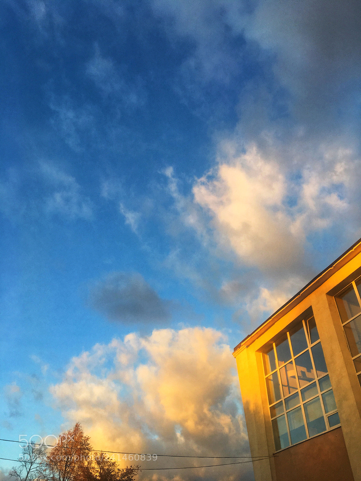 Apple iPhone 6s sample photo. Untitled photography
