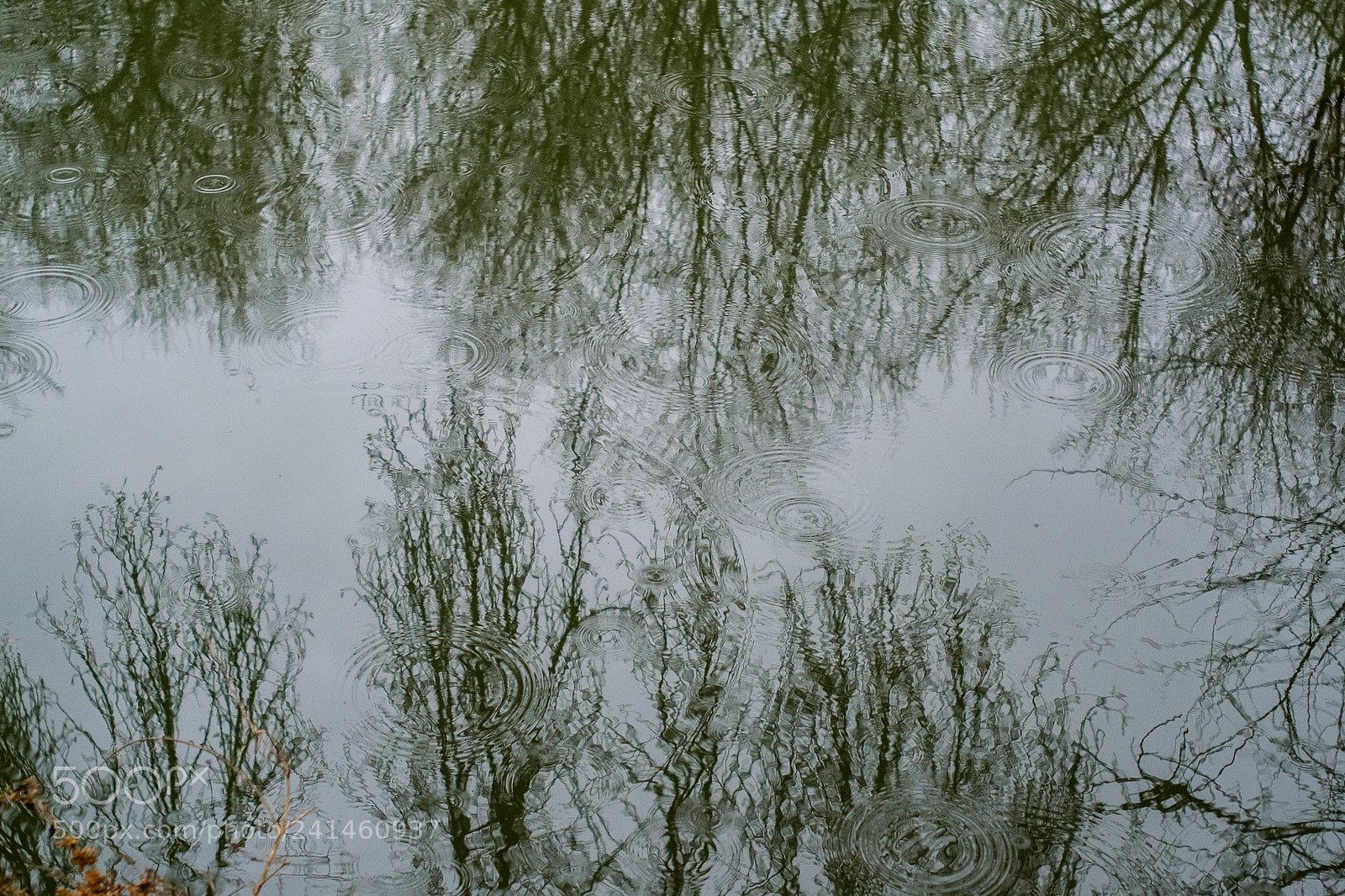 Fujifilm X-T1 sample photo. Invierno photography
