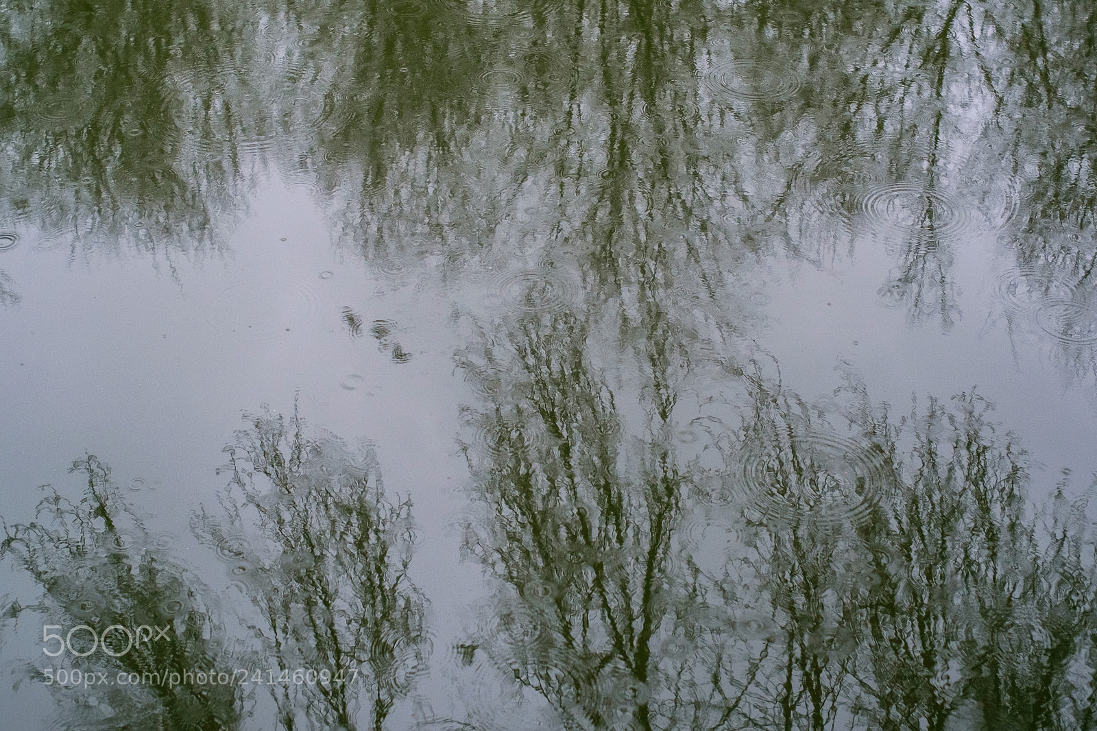 Fujifilm X-T1 sample photo. Invierno photography