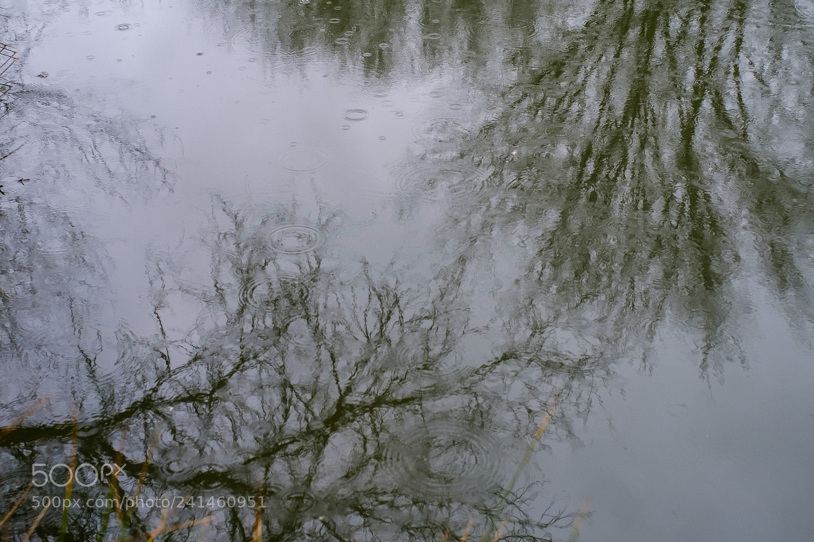 Fujifilm X-T1 sample photo. Invierno photography