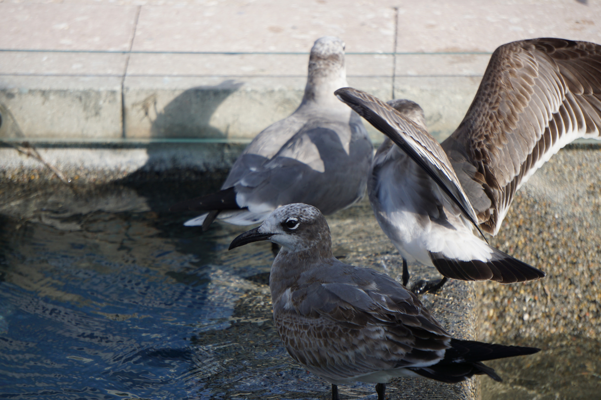 Sony FE 24-240mm F3.5-6.3 OSS sample photo. Shadow vanity photography