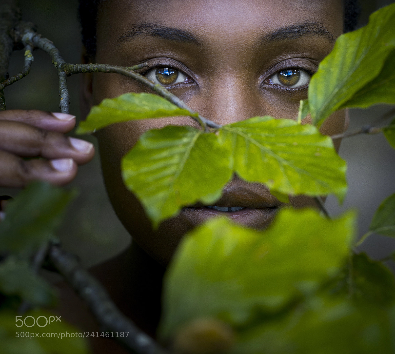 Nikon D800 sample photo. Daphne photography