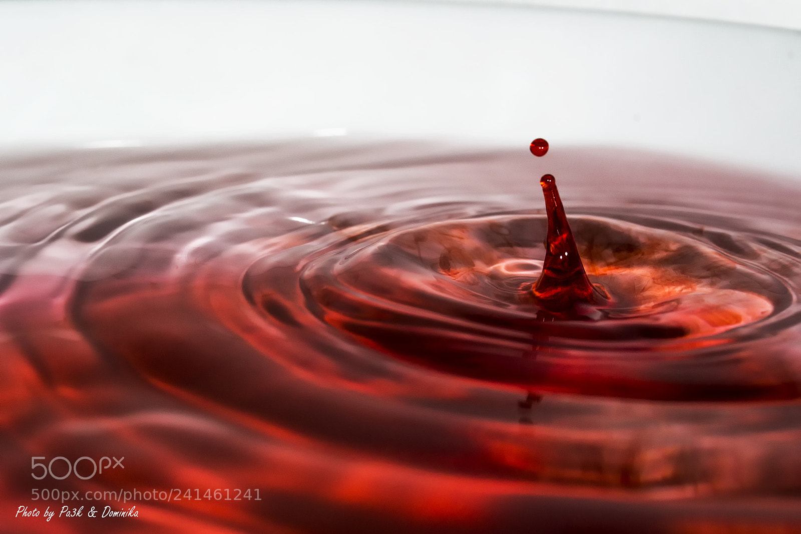 Nikon D3100 sample photo. Red water drop (i) photography