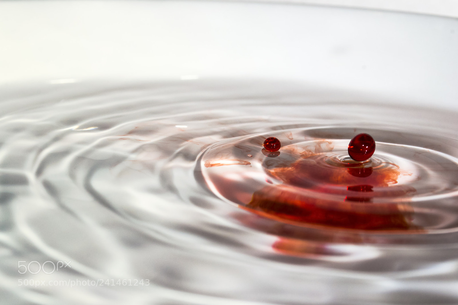 Nikon D3100 sample photo. Red water drops photography