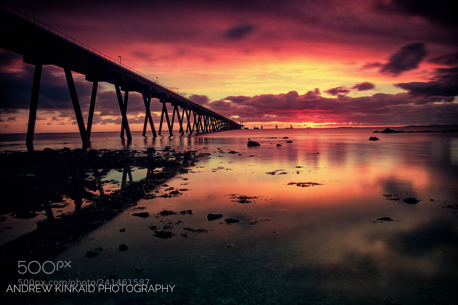 Olympus OM-D E-M5 sample photo. Cloughan jetty whitehead northern photography