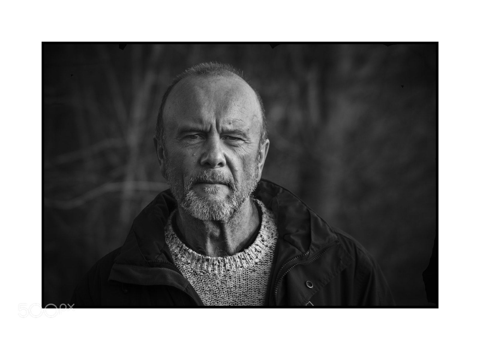Fujifilm X-Pro2 sample photo. Dog walker, copford photography